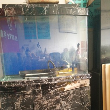 鋼琴與魚缸快運 鋼琴與魚缸快運