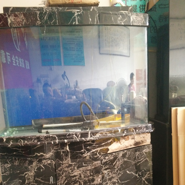 鋼琴、魚缸專運(yùn)現(xiàn)場(chǎng)